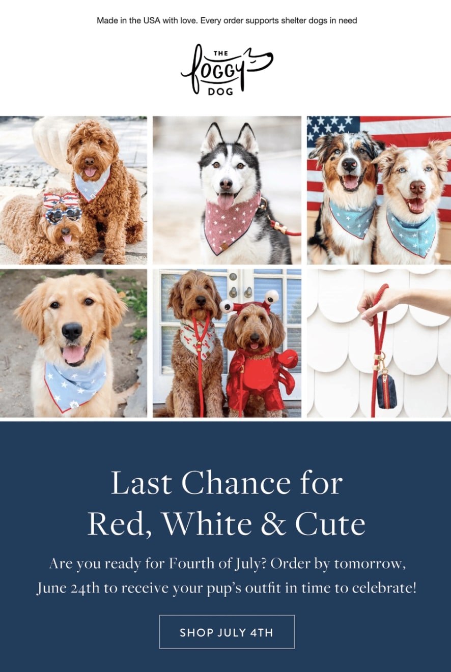 The Foggy Dog Fourth of July sale ideas