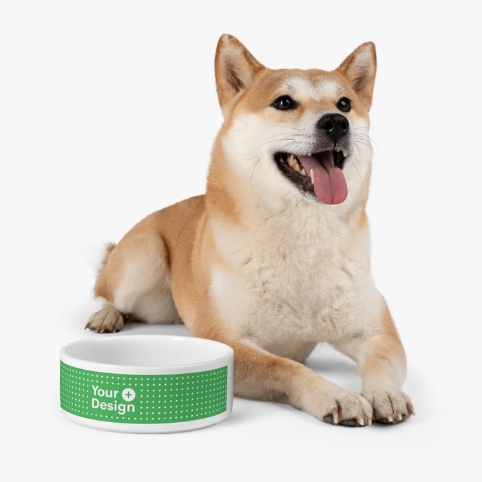 https://printify.com/wp-content/uploads/2023/07/Pet-Bowl-Dog-Mockup-Your-Desig.jpg