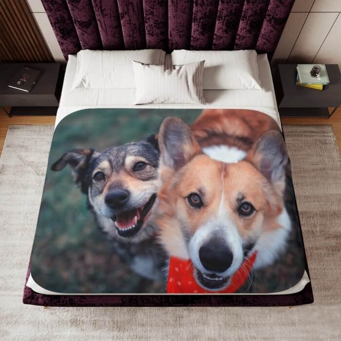 Custom pet photo gifts best sale