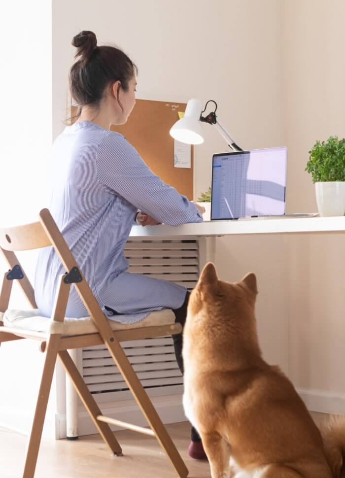 Why Choose Printify For Pet Gifts Custom Pet Gifts 2