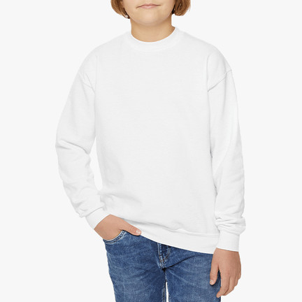 <a href="https://printify.com/app/products/1256/gildan/youth-crewneck-sweatshirt" target="_blank" rel="noopener"><span style="font-weight: 400; color: #17262b; font-size:15px">Youth Crewneck Sweatshirt</span></a>