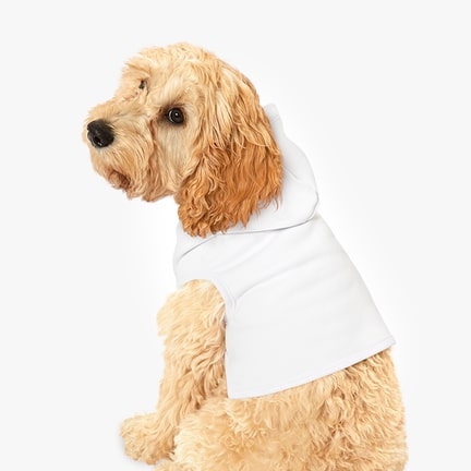 <a href="https://printify.com/app/products/1228/generic-brand/pet-hoodie" target="_blank" rel="noopener"><span style="font-weight: 400; color: #17262b; font-size:15px">Pet Hoodie</span></a>