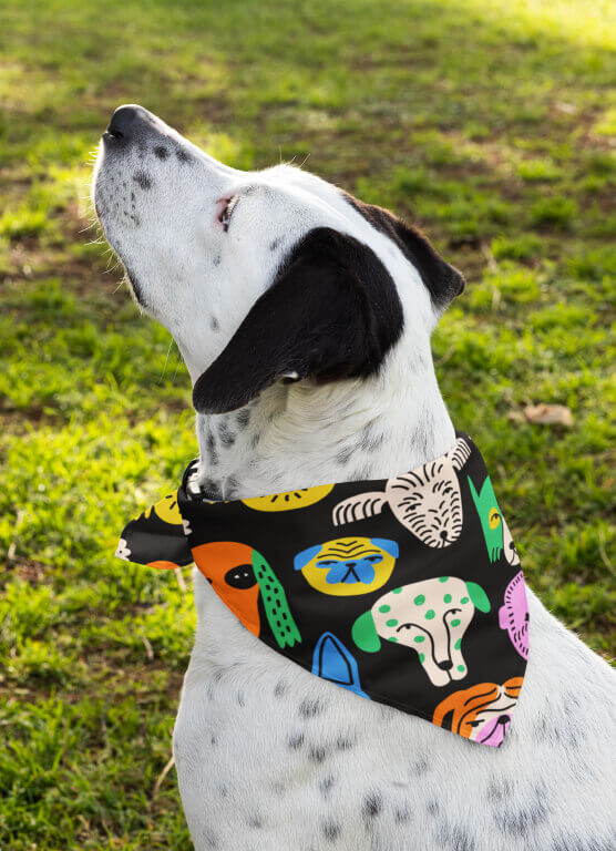 Custom Adjustable Polyester Sublimation Printed Designer Dog