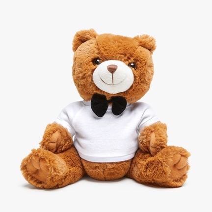 <a href="https://printify.com/app/products/1276/generic-brand/teddy-bear-with-t-shirt" target="_blank" rel="noopener"><span style="font-weight: 400; color: #17262b; font-size:15px">Teddy Bear with T-Shirt</span></a>