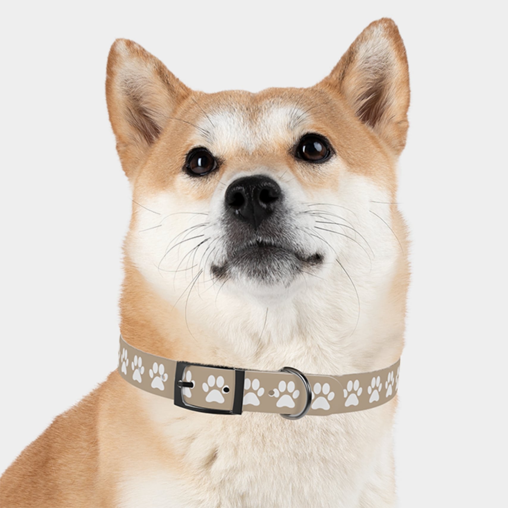 Custom dog collar with a paw print.