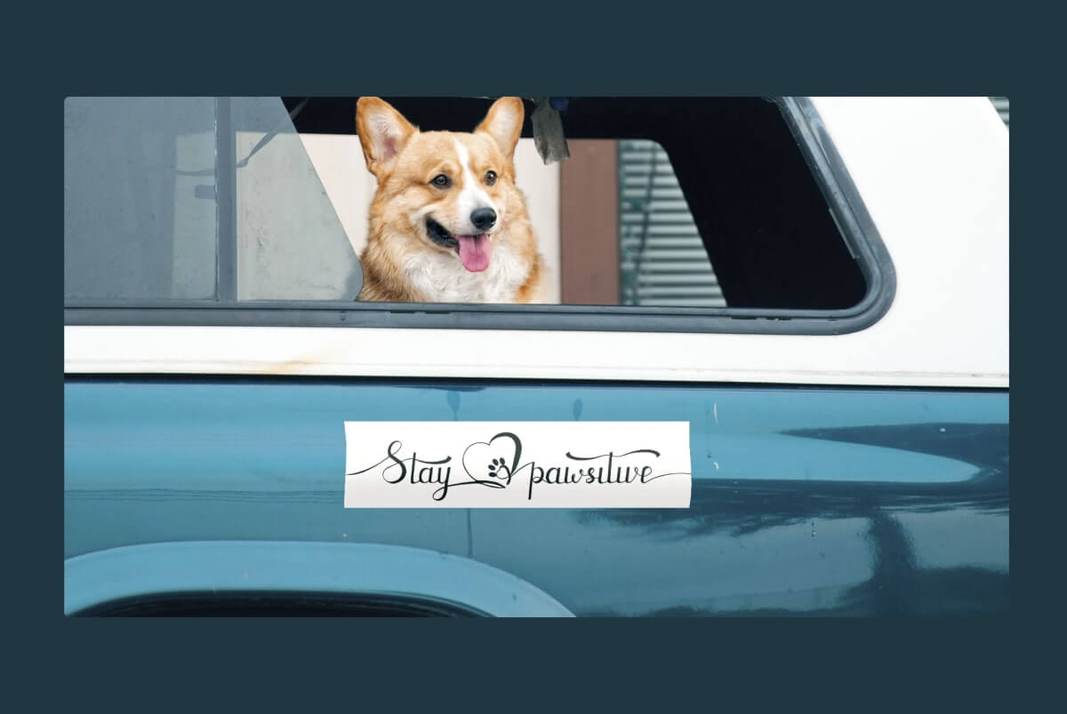 design-custom-bumper-stickers-online