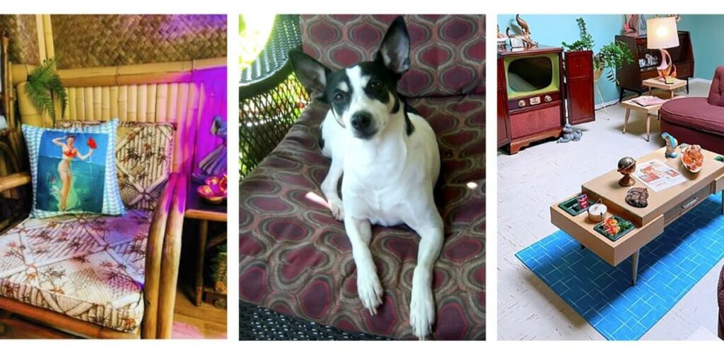 From Hollywood movie sets to Halloween home decor - Carole Knaus shares her tips for success. 2