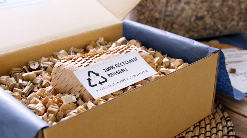 An eco-friendly Etsy package with a label saying “100% recyclable, reusable.”