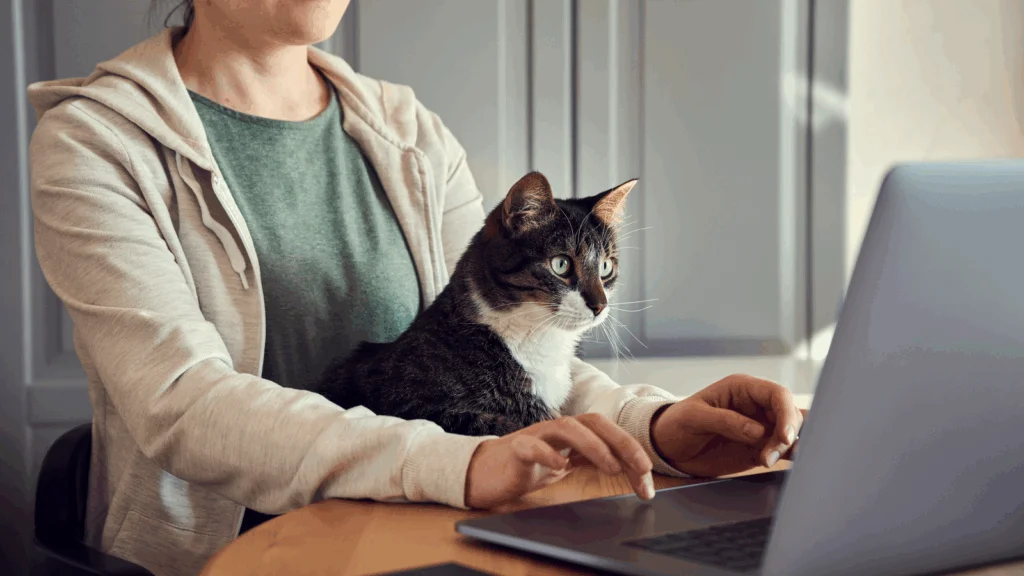 A woman is sitting in front of a laptop with a cat on her lap looking directly at the screen.