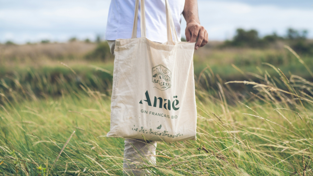 Tote bags Dropshipping business ideas A man carries a tote bag while walking in a field.