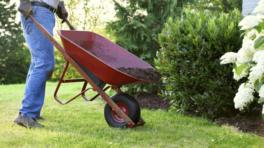 Offer yard work services A person performing yard work.