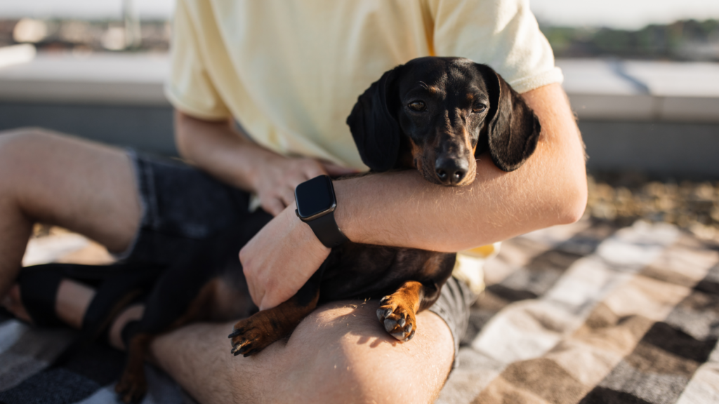 Pet sitting Most profitable businesses A man sits on a blanket outdoors, enjoying time with his dog beside him.