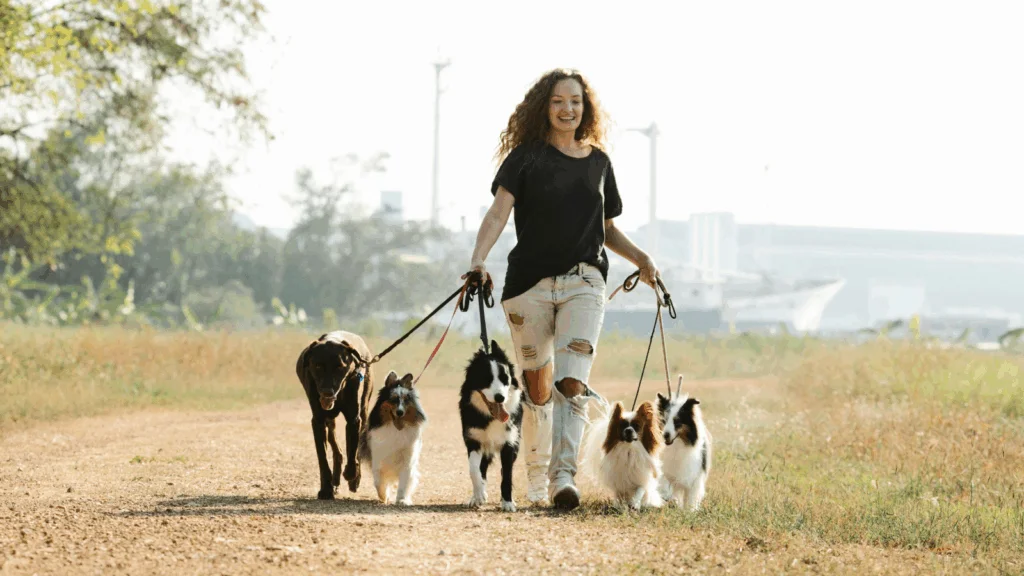 A woman walks dogs along a dirt road surrounded by greenery.