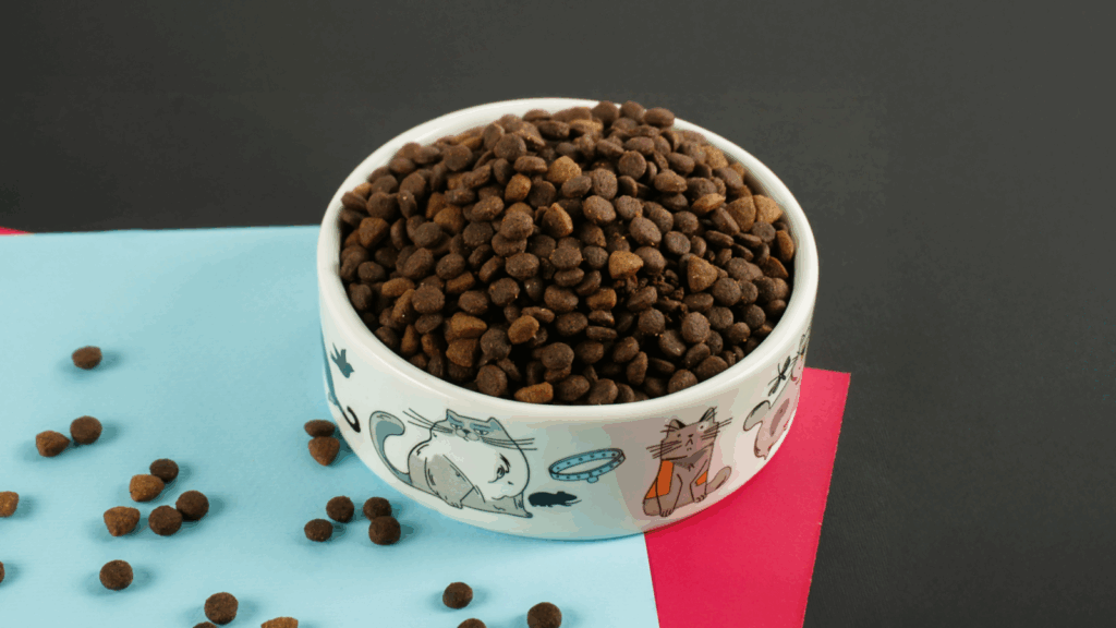 A bowl of dog food surrounded by scattered beans on a surface.