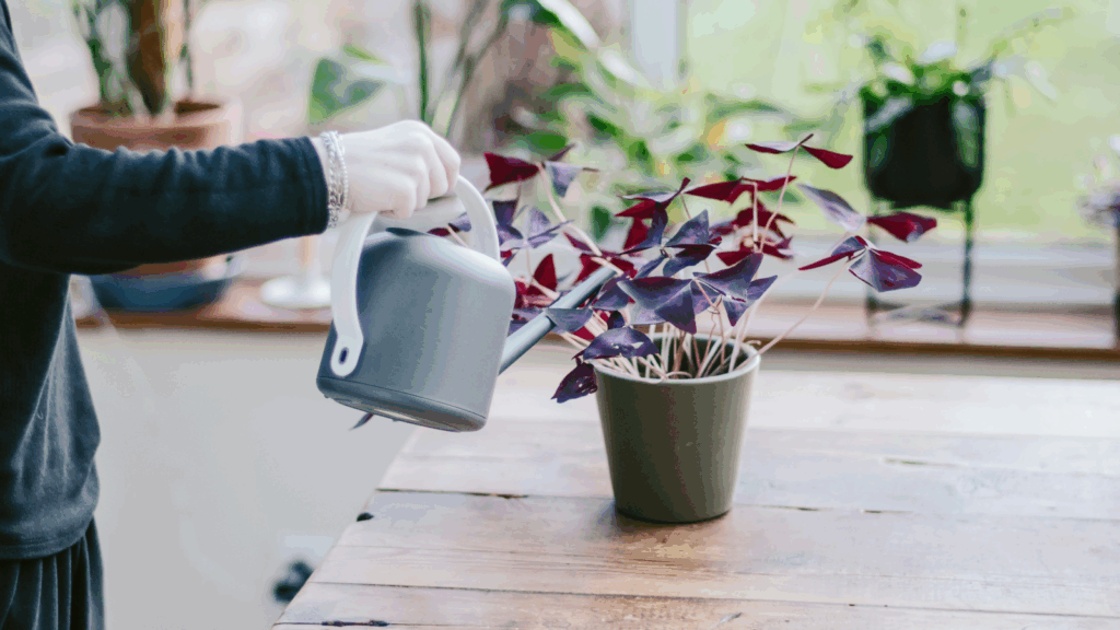 What is a Niche? 5 Examples of Print on Demand niche ideas 6