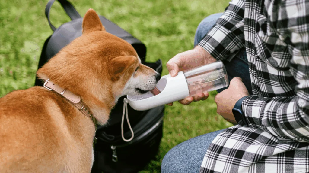 A dog is happily drinking water from a portable water bottle held by its owner.
