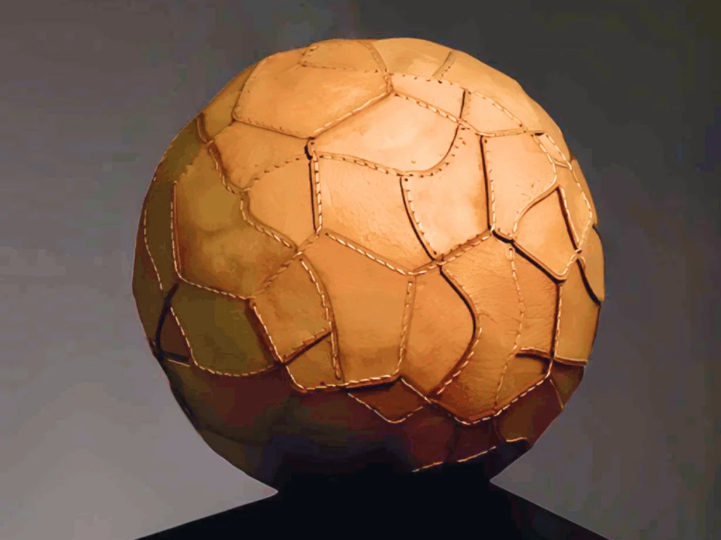 Mushroom-leather ball