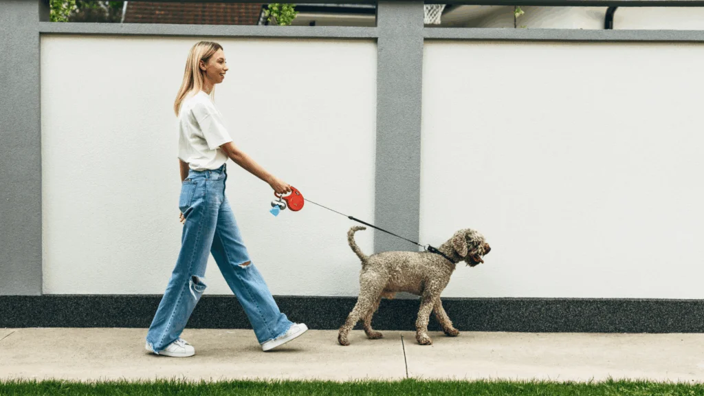 A woman walks her dog on a leash in a park, enjoying a sunny day outdoors.