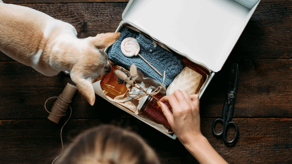 A woman holds a box containing a small dog, smiling as she looks at the pet inside.