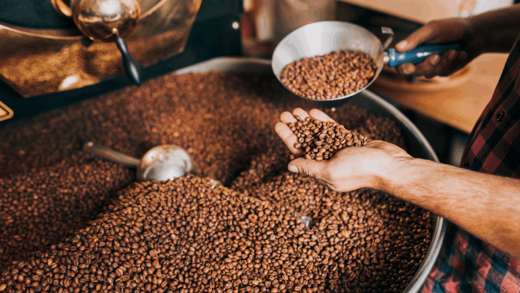 A person holds a scoop and a handful of freshly roasted coffee beans over a large coffee roaster.