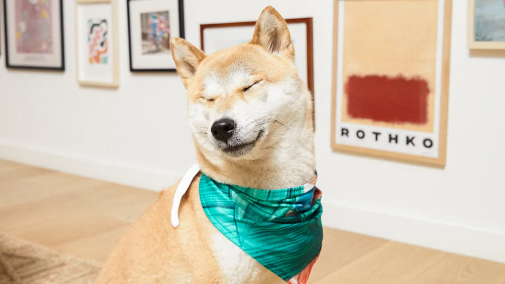 Shiba Inu with a green bandana sits contentedly with eyes closed in an art gallery, surrounded by framed abstract artworks on the wall.