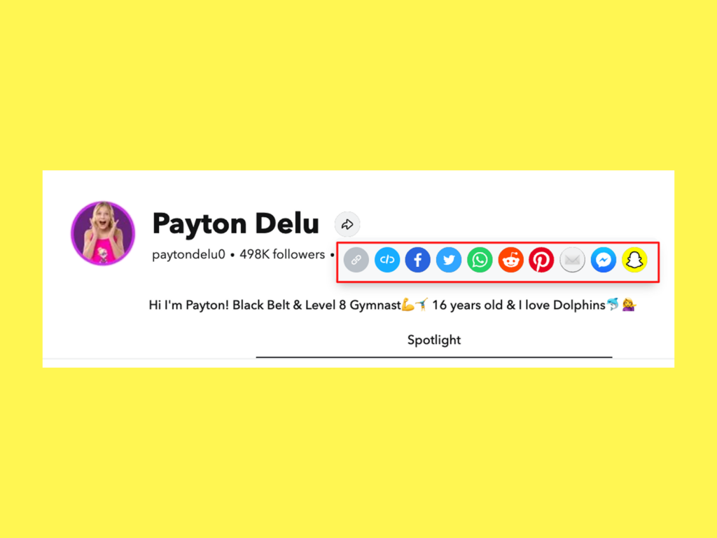 A screenshot mockup of Payton Delu’s Snapchat profile bio.