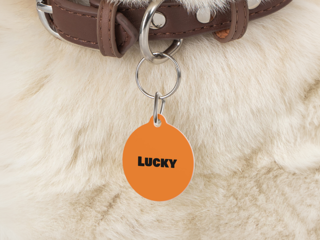 Close-up of a brown dog collar with a silver ring, attached to an orange tag reading "LUCKY" against soft, white fur.