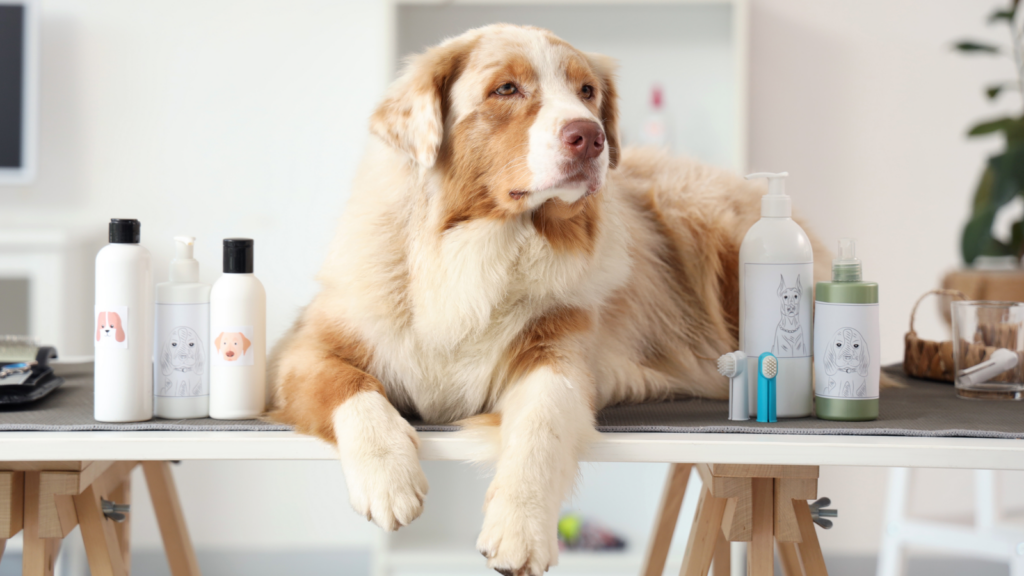 A fluffy dog lounges calmly on a grooming table surrounded by various bottles of pet care products.