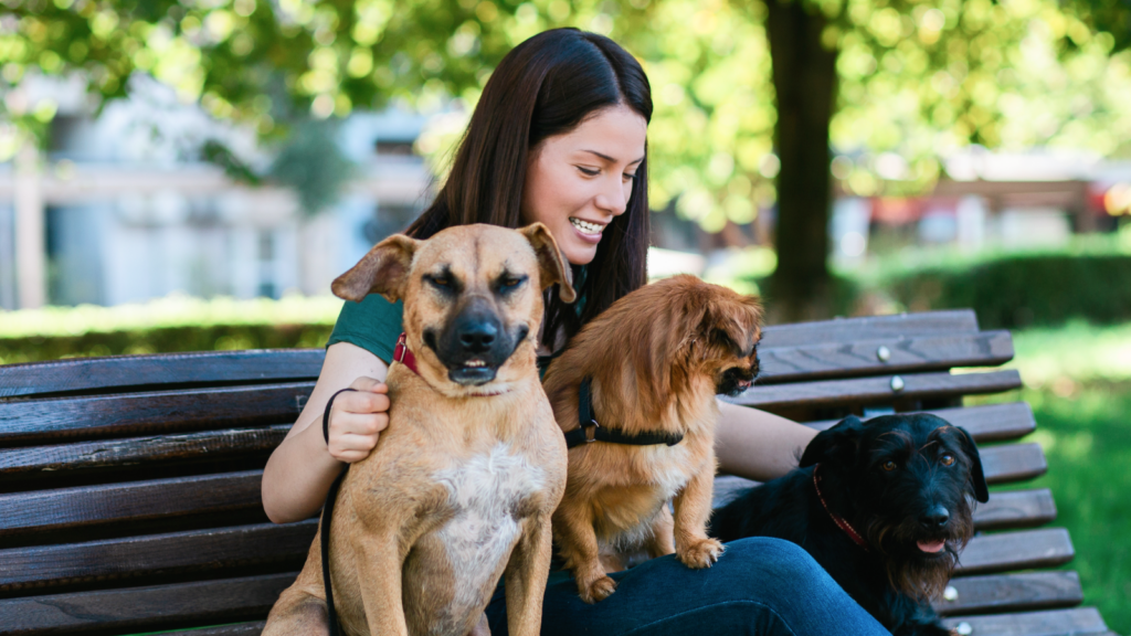 A woman sits on a park bench, smiling and surrounded by three dogs.